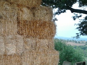 Hay for House building