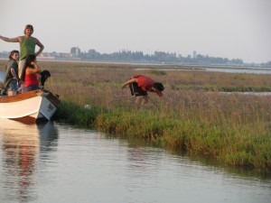 Herb picking in the Venice Lagoon