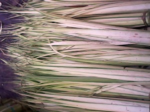 IMG_20130117_112943