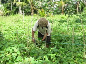 Old worker