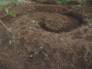 Shaping the soil